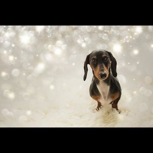 Meet your Posher, Carly